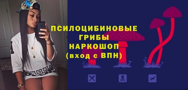 шишки Алексин