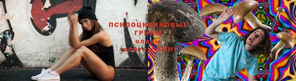 гашишное масло Аркадак