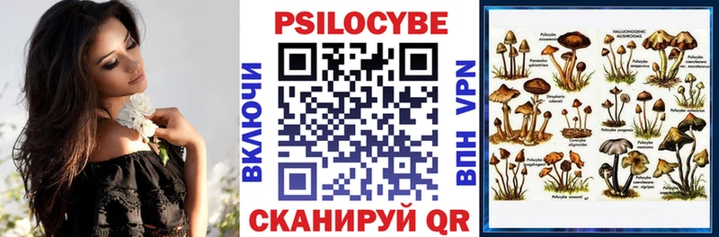 Галлюциногенные грибы Psilocybine cubensis мега онион Навашино купить наркотик